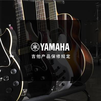 吉他、贝斯和音箱