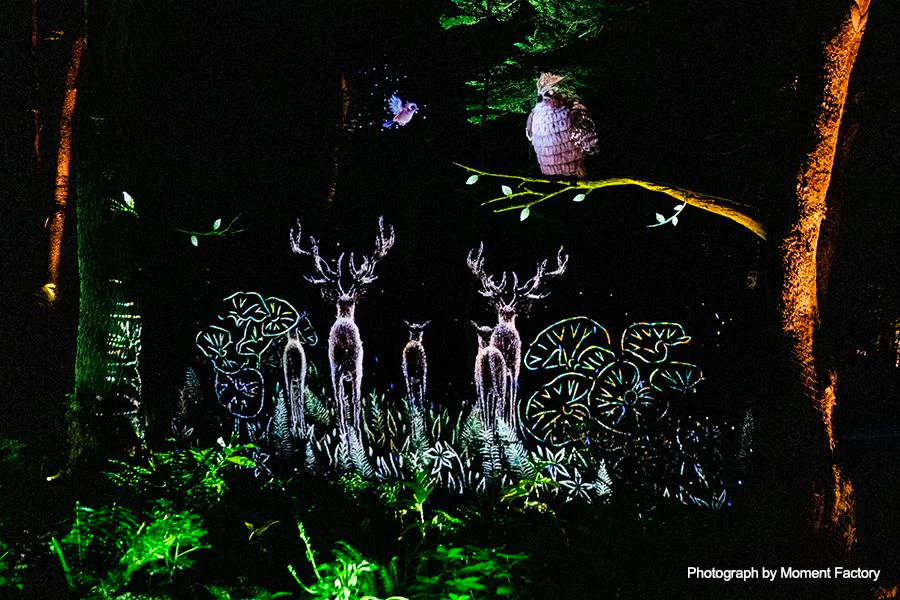 案例｜必发88为壮观的Kamuy Lumina魔法夜行旅游项目提供配乐设备