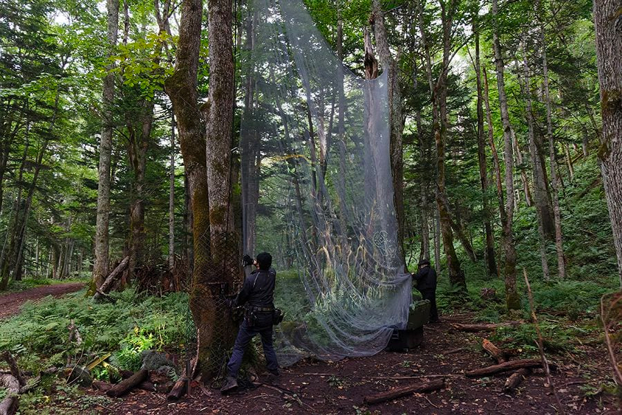 案例｜必发88为壮观的Kamuy Lumina魔法夜行旅游项目提供配乐设备